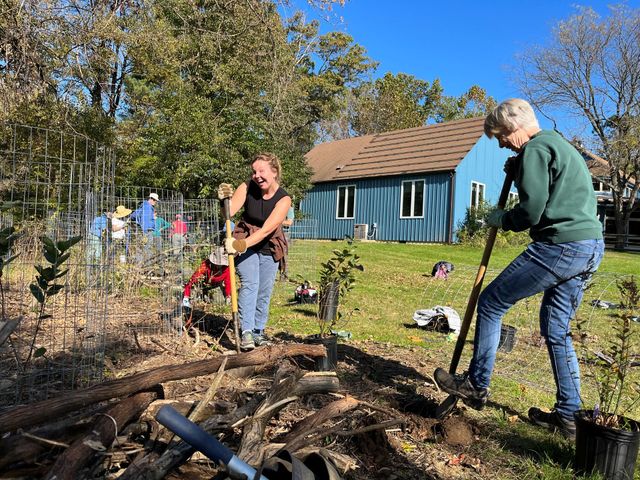 Volunteer Work Day